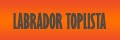 labrador.toplista.pl