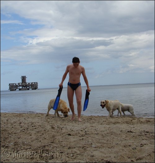 Galeria