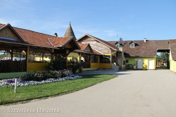 Galeria