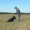 Kursy użytkowosci
