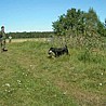 Kursy użytkowosci