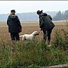 Kursy użytkowosci