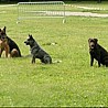 szkolenia