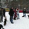szkolenia