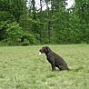 szkolenia