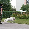 szkolenia