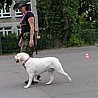 szkolenia