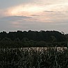 Wspomnienia z polowań