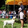 Ursa Major Szczenięce Marzenia