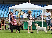 URSA MAJOR Szczenięce Marzenia
