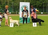 URSA MAJOR Szczenięce Marzenia